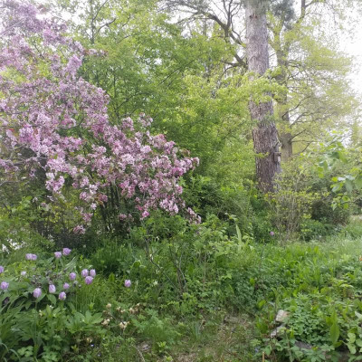 20190503_164700.jpg