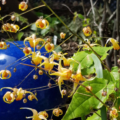 20190503_124433.jpg