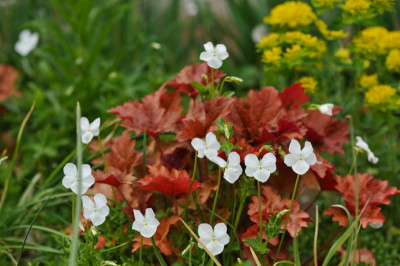 B00_2669.jpg