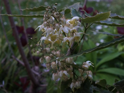 S0038390.JPG