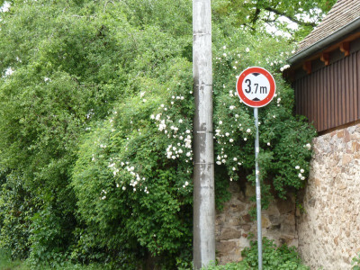 tg_190504_8.jpg