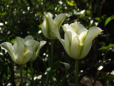 04.05.2019 15-56-20_8552.jpg