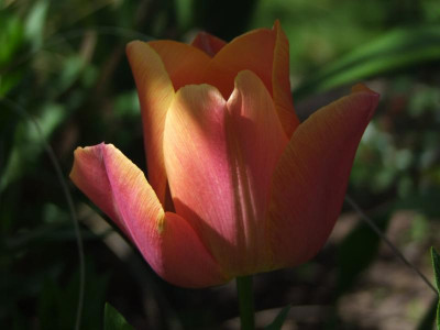 04.05.2019 15-59-00_8602.jpg