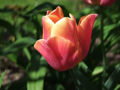 04.05.2019 15-58-57_8601.jpg