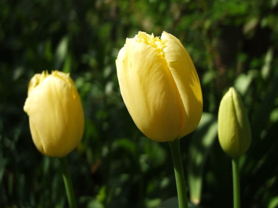 04.05.2019 15-55-55_8544.jpg