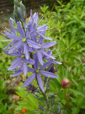 DSC06177.JPG