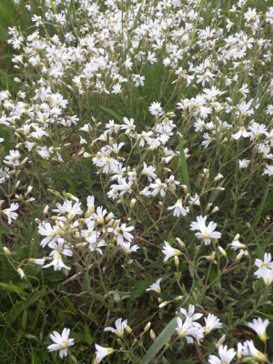 rps20190505_161645.jpg