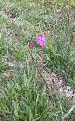 rps20190505_161722.jpg