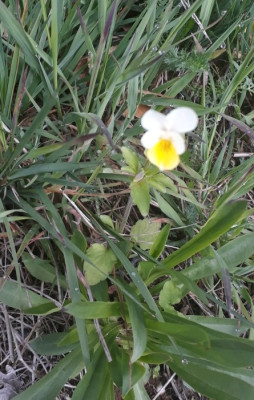 rps20190505_161745.jpg