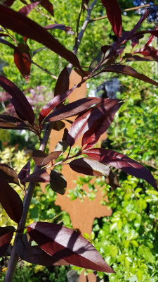 20190504_172455.jpg