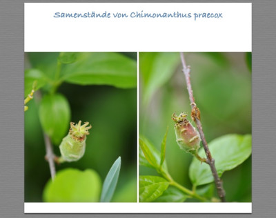 Fotos von 03.05.2019.jpg
