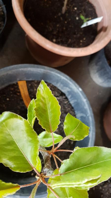 20190507_101039.jpg