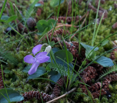 20190507_150544.jpg