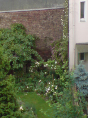 DSC00620.JPG