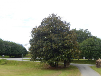 DSCN5508-1.JPG