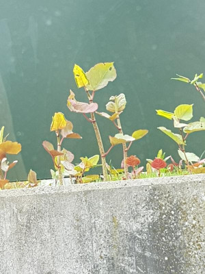 20190508_113556.jpg