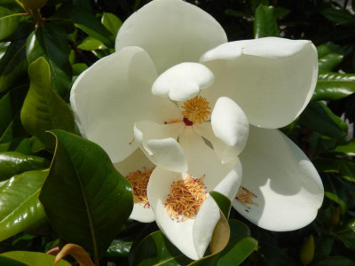 DSCN5373-1.JPG
