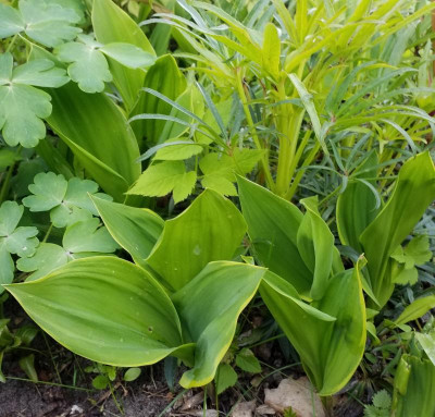 20190509_144526.jpg