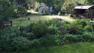 IMG-20190507-WA0004.jpeg