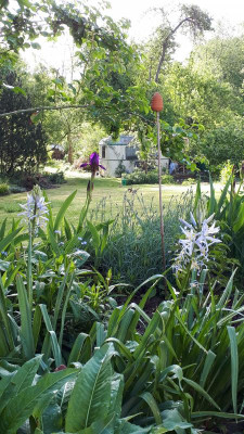 IMG-20190507-WA0008.jpeg