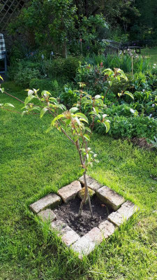 IMG-20190507-WA0013.jpeg