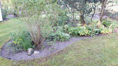 IMG-20190508-WA0002.jpeg