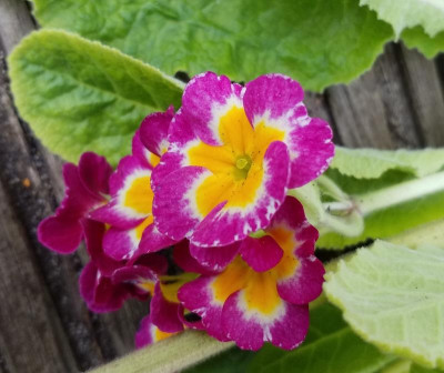 20190509_180852.jpg