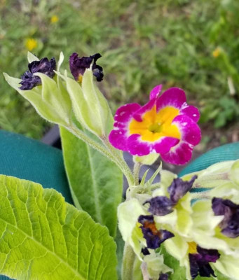 20190509_181539.jpg