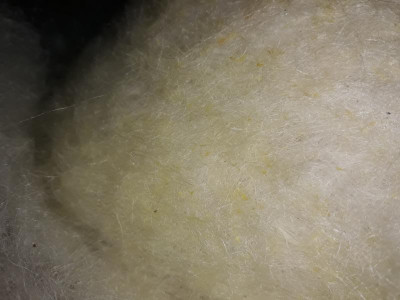 lanolin.jpg