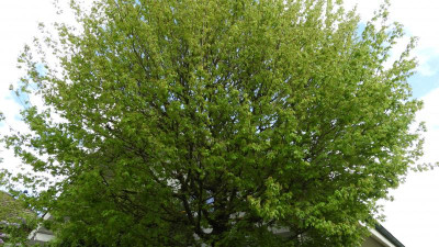 DSCN4366.JPG