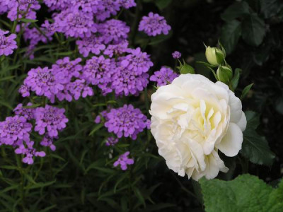 070526_22a.jpg