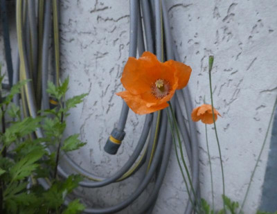 20190510_224357.jpg