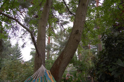 DSC_9502.JPG