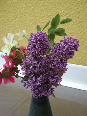 DSC02723.JPG