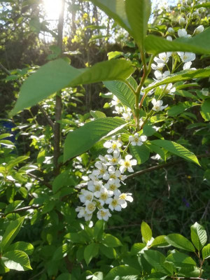 IMG_20190507_173659.jpg