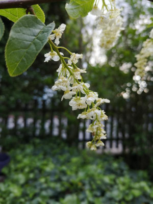 IMG_20190512_182759.jpg