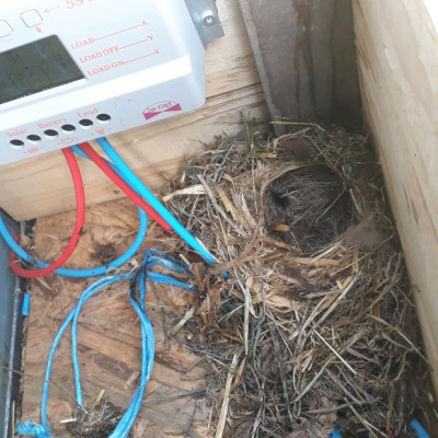 rps20190512_185926.jpg