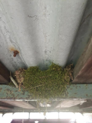 rps20190512_185940.jpg