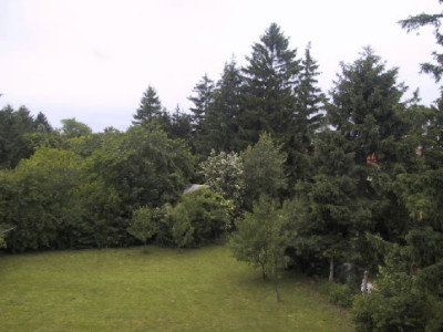 Gartenuebersicht1.jpg