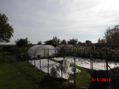 DSCI0056.JPG