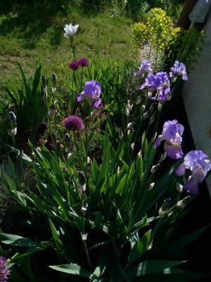 IMG_20190514_173314.jpg