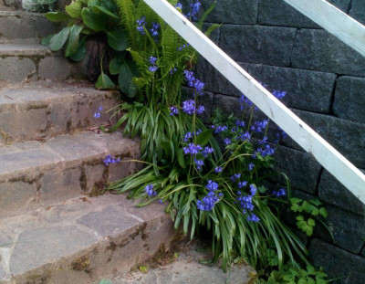 _20190514_210919.JPG