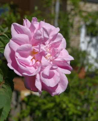 1505-02.jpg
