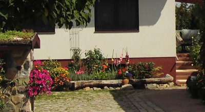 DSCI1210.JPG