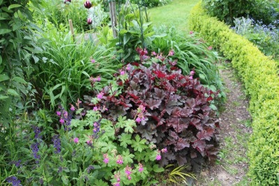 Kleines Beet IMG_9449.jpg