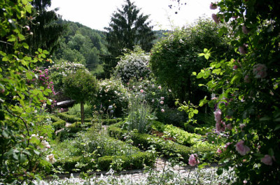 Evi-Garten00307.jpg