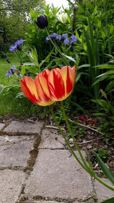 IMG_20190514_153944.jpg