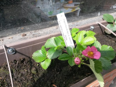 20190517_103203_IMG.jpg