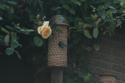D4508 (Large).JPG