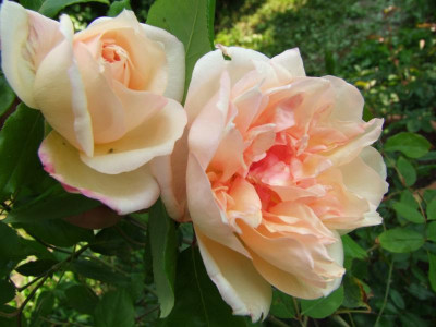 18.05.2019 17-59-29_8682.jpg